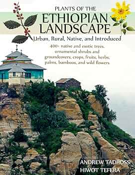 PLANTS OF THE ETHIOPIAN LANDSCAPE: Urban, Rural, Natural